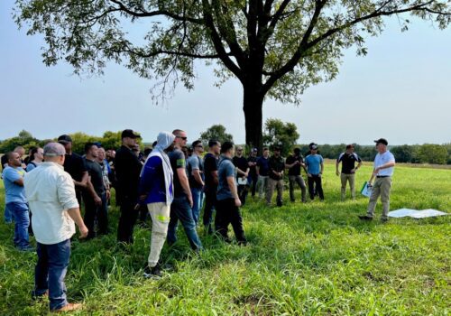 A group of people stands on green grass in an outdoor park, near a large tree. They are listening to a person speaking and gesturing towards a whiteboard on the ground. The sky is clear and the setting is surrounded by trees. Image