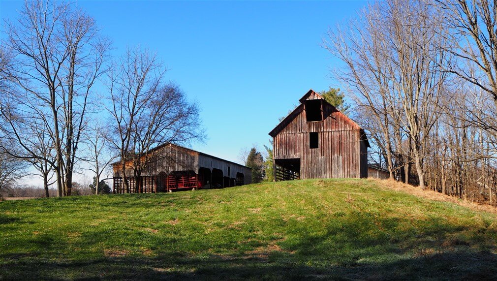 A grassy hill on a clear day with two old wooden barns at the top. The barn on the right is taller with a peaked roof, while the one on the left is smaller with a lean-to structure. Bare trees surround the scene, indicating late fall or early spring.