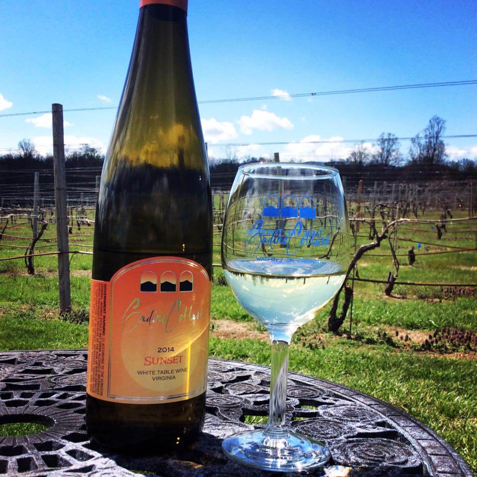 Gadino Cellars Image