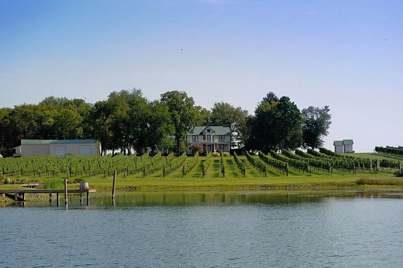 A serene vineyard with neatly arranged grapevines stretches down to a calm body of water. In the background, a large house is surrounded by trees, and several farm buildings are visible. The sky is clear and blue.