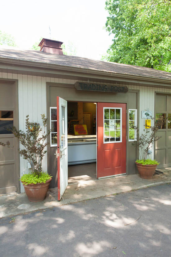 Cibola Farms | Virginia Bison Company Image