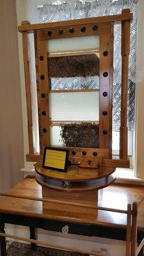 A vertical glass observation hive for bees is displayed on a wooden table in front of a window. It includes a stand with an information tablet. Honeycomb, bees, and other beeswax structures are visible through the glass. Lace curtains adorn the window behind.
