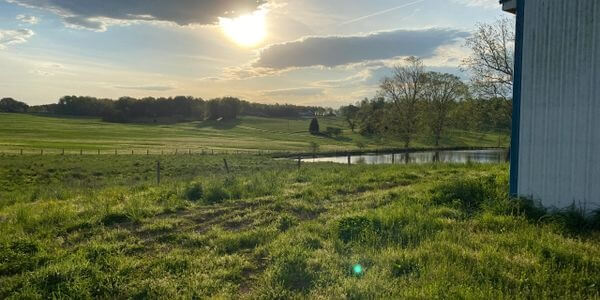 A serene countryside landscape featuring a bright sun peeking through clouds during late afternoon, casting golden light over a green, grassy field. A calm pond is visible to the right, bordered by trees and the side of a building is seen in the foreground.