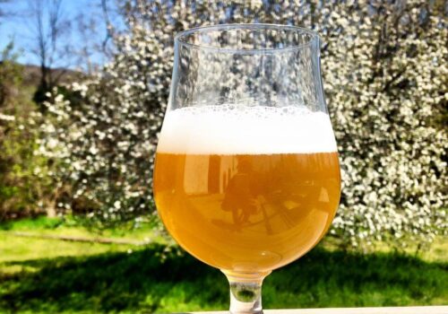 A tulip glass of hazy golden beer with a frothy white head sits on a wooden surface outside. The background features blooming white flowers on trees and a bright blue sky, creating a serene outdoor setting. Image