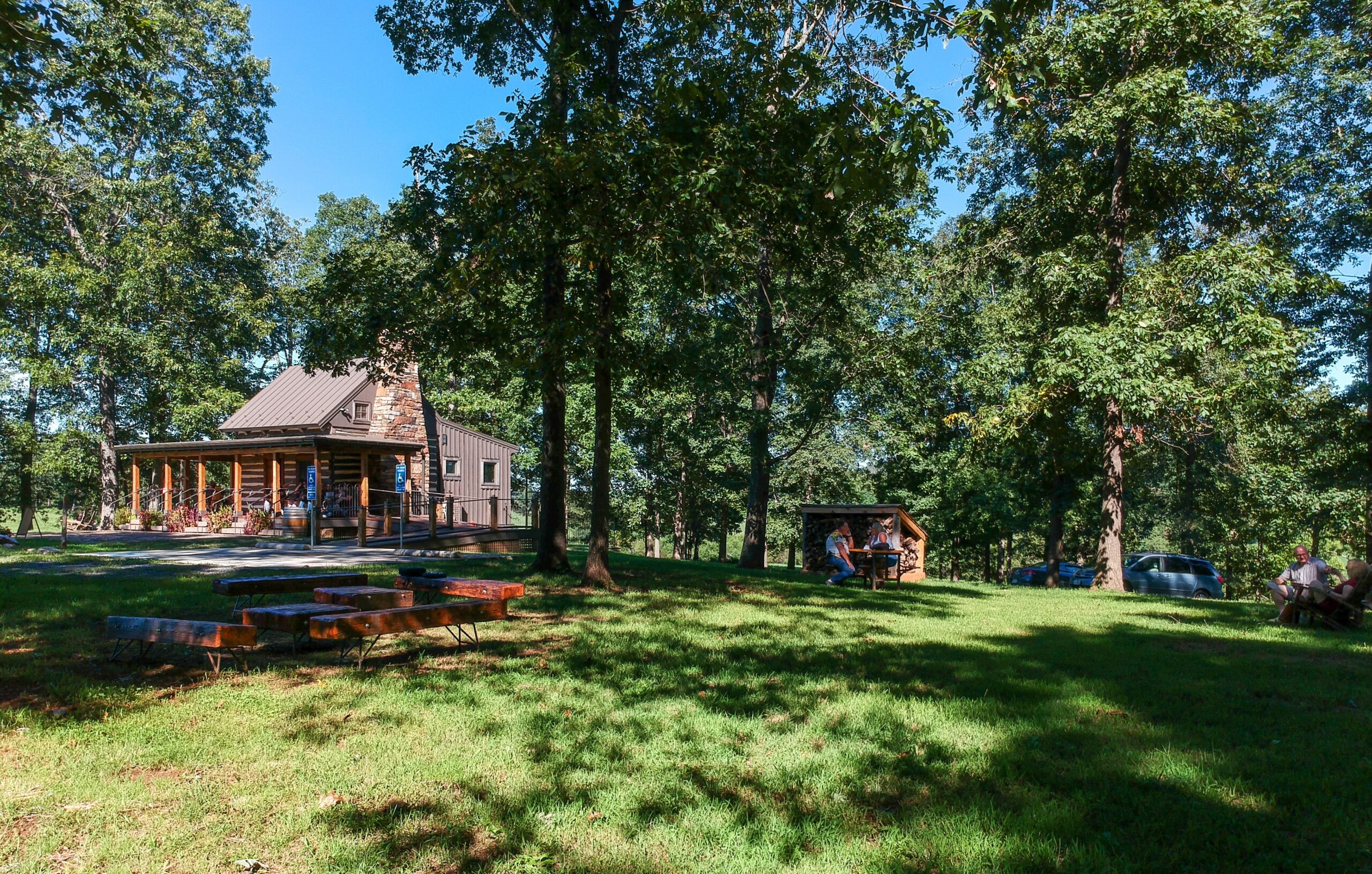 image of trees with a building in the background