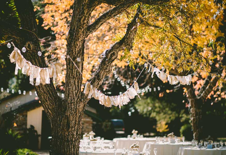 Destination: “I Do” in Culpeper, VA Part One Image