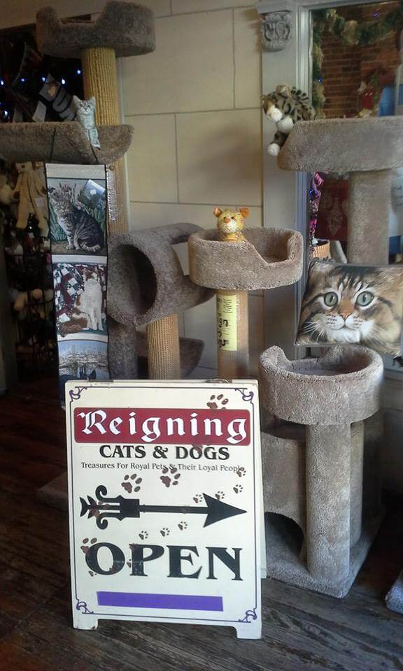 A pet store display features a large cat tree with multiple levels and platforms. A sign in front reads