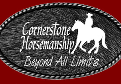 An oval-shaped logo with a black, textured background and a braided border. Inside, there is a white silhouette of a rider on a horse. The text reads 
