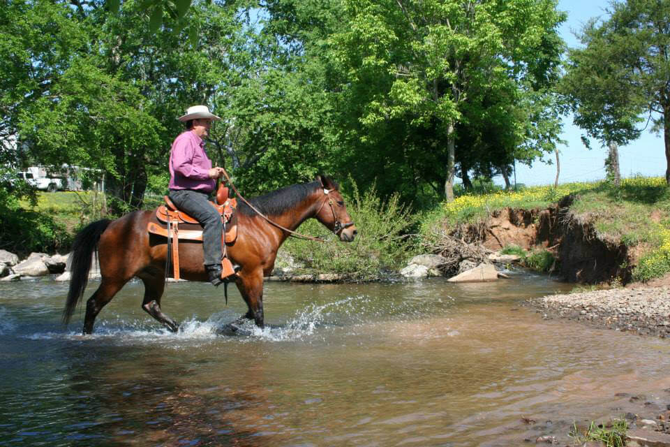 A person wearing a pink shirt and cowboy hat rides a brown horse through a shallow creek. The scene is set in a lush, green, wooded area with clear blue sky overhead. Sunlight filters through the trees, illuminating the water and surrounding foliage.