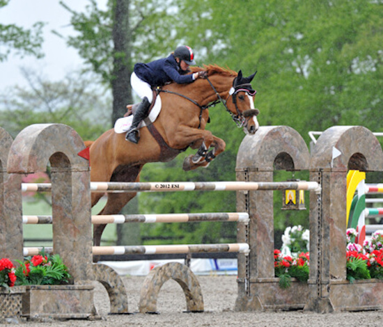 Horse Shows In The Sun At Commonwealth Park Image