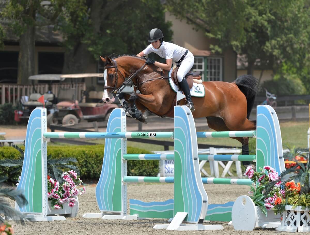 A person dressed in equestrian gear rides a brown horse while jumping over a set of blue and green hurdles during an outdoor show jumping competition. The scene includes flowers at the base of the hurdles and greenery in the background.