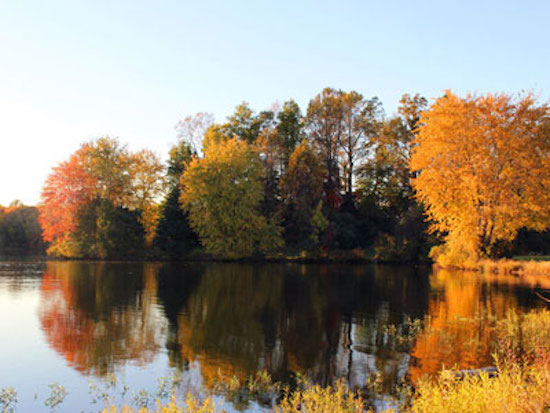 A tranquil lake reflects the vibrant autumn foliage of trees lining its shore. The trees display an array of colors from green to bright red and orange, while the sky is clear blue, indicating a serene, sunny day. The water is calm, mirroring the picturesque scene.