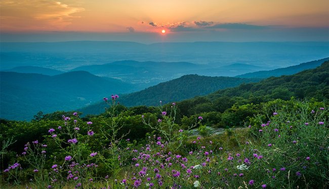 Shenandoah National Park Image