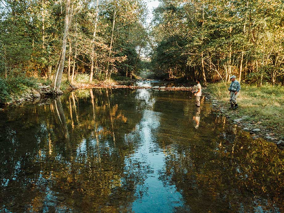 5 of the Best Fishing Spots in Culpeper, Virginia Image