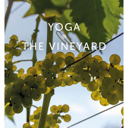 Close-up image of green grapes hanging from vines with sunlight streaming through. The words "YOGA @ THE VINEYARD" are overlaid on the image, indicating an event or activity combining yoga and a vineyard setting.