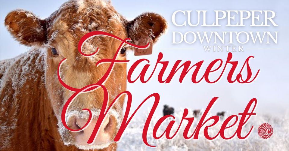 A close-up of a brown cow with snow on its head and ears. Large red text overlaying the image reads "Farmers Market." Behind the cow, white text says "Culpeper Downtown Winter." There is a white, snowy background with a faint outline of other cows in the distance.