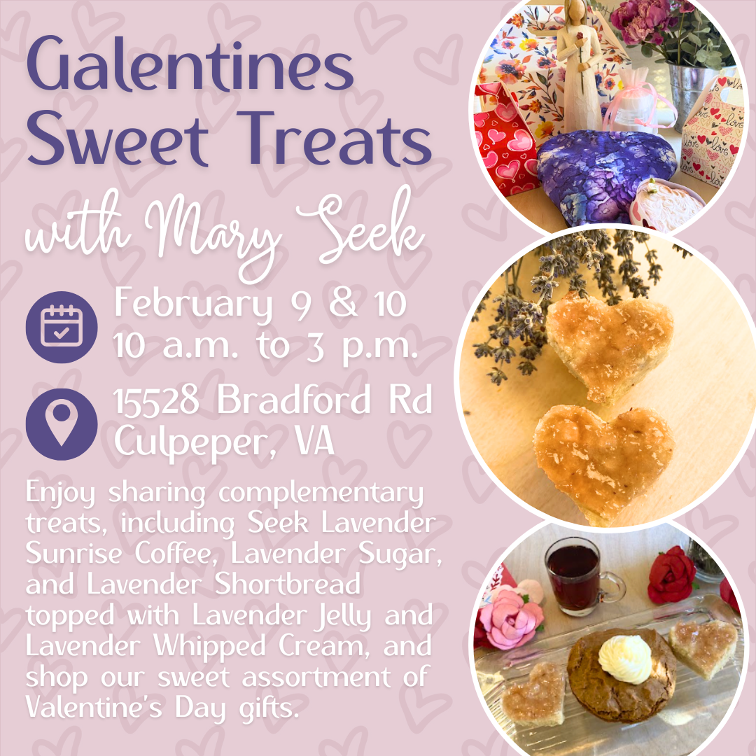 Flyer for “Galentines Sweet Treats with Mary Seek” on February 9 & 10 from 10 a.m. to 3 p.m. at 15528 Bradford Rd, Culpeper, VA. The event features lavender-themed treats and Valentine's gifts. The background is lavender with illustrations of hearts and flowers.