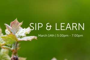 Close-up of a small plant with green leaves against a blurred green background. Text on the right side reads "SIP & LEARN" and "March 14th | 5:00pm - 7:00pm".