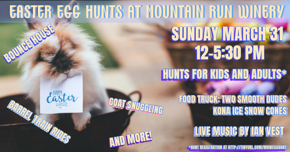 A fluffy rabbit with a "Happy Easter" sign on its chest stands amidst event details. Text: "Easter Egg Hunts at Mountain Run Winery; Sunday March 31, 12-5:30 PM. Hunts for Kids and Adults. Bounce House, Barrel Train Rides, Goat Snuggling, and More! Food Truck: Two Smooth Dudes, Kona Ice Snow Cones. Live Music by Ian Vest." Hunt registration link at the bottom.