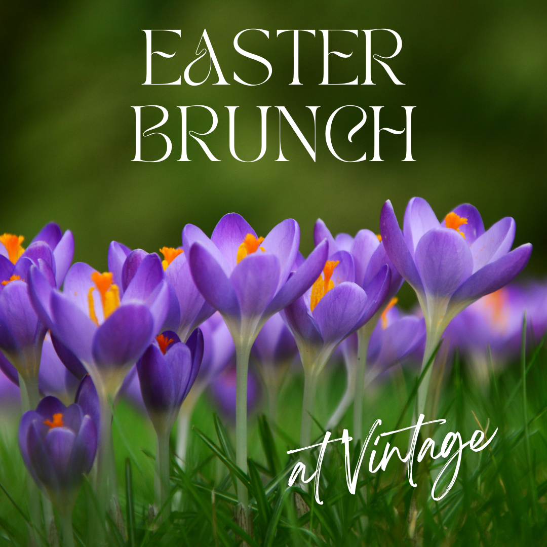 Purple crocuses in full bloom sit amidst green grass with the words "Easter Brunch" in large font at the top and "at Vintage" in cursive at the bottom, suggesting a delightful brunch event for Easter.