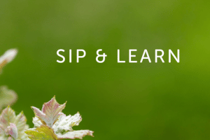 Green background with white text in the center that reads "SIP & LEARN." The lower left corner includes some light-colored leaves.