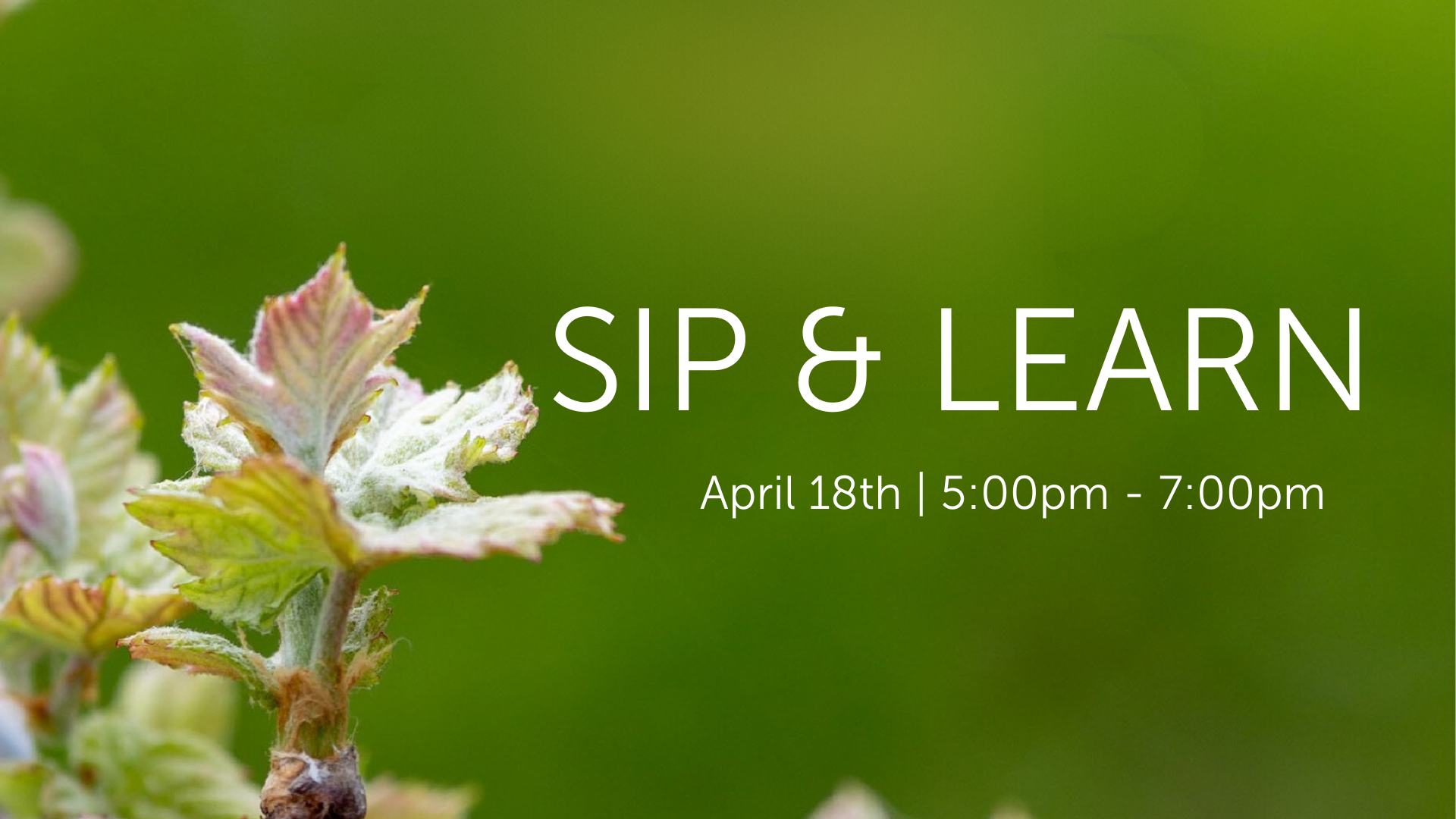 Close-up of a budding plant with blurred green background. White text on the right reads: "SIP & LEARN April 18th | 5:00pm - 7:00pm.