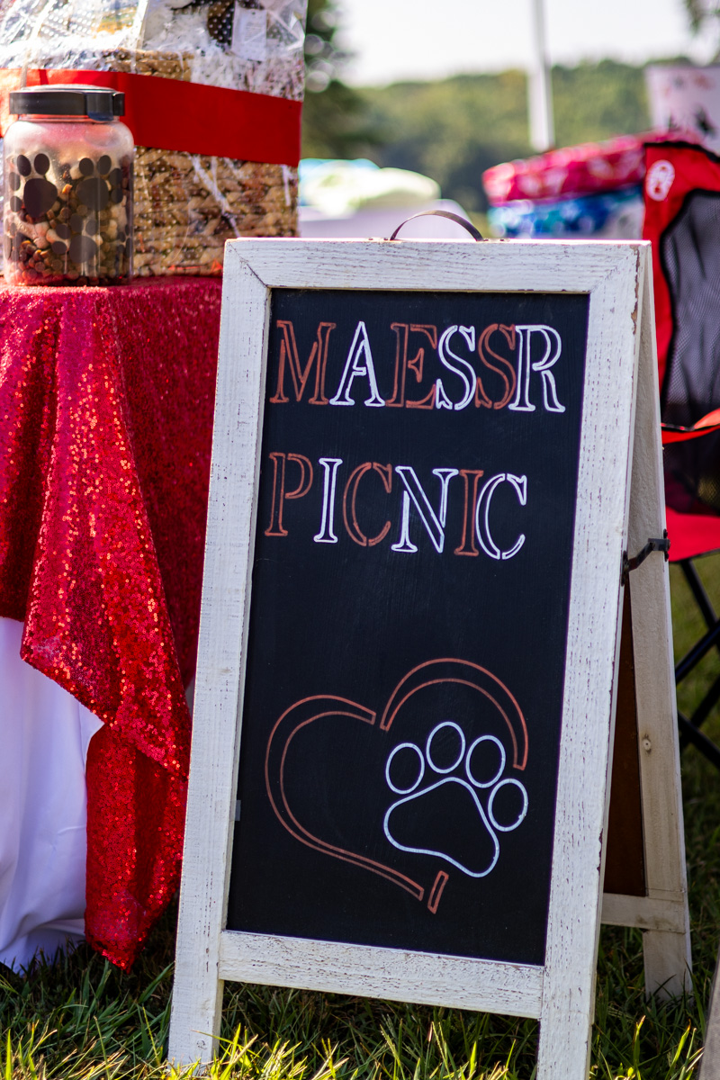 A chalkboard sign on an easel reads "MAESSR Animal Rescue Picnic" with a heart and paw print design below the text. The sign stands on grass, next to a table covered with a red sequin tablecloth, adorned with jars and various items.