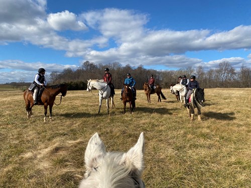 A group of seven people on horseback are gathered in an open field with a few trees in the background under a partly cloudy sky, commemorating the 161st Anniversary of the Battle of Brandy Station. The view is from behind another horse, with its ears visible in the foreground.