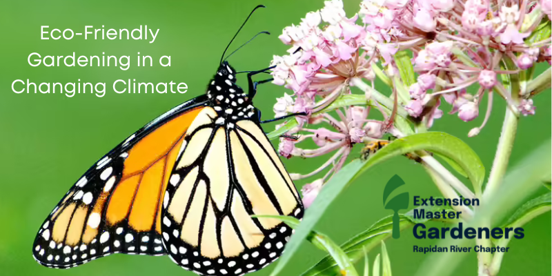 A monarch butterfly feeds on a pink flower, accompanied by the text "Eco-Friendly Gardening in a Changing Climate" and the logo of the Extension Master Gardeners Rapidian River Chapter.