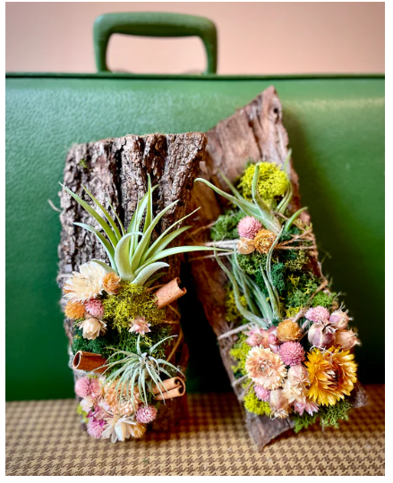 bark with air plants and dried flowers arranged in it
