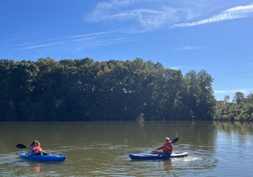 two kayakers in the water Image