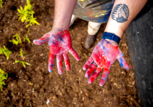 two hands with paint on them Image
