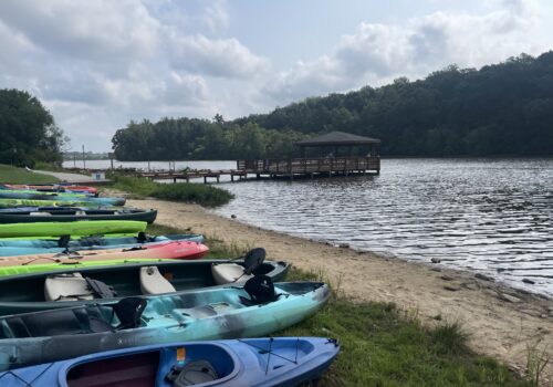 canoes and other small watercraft on a beach with a dock in the background Image
