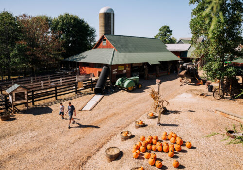 image of a red barn and pumpkins on the ground Image