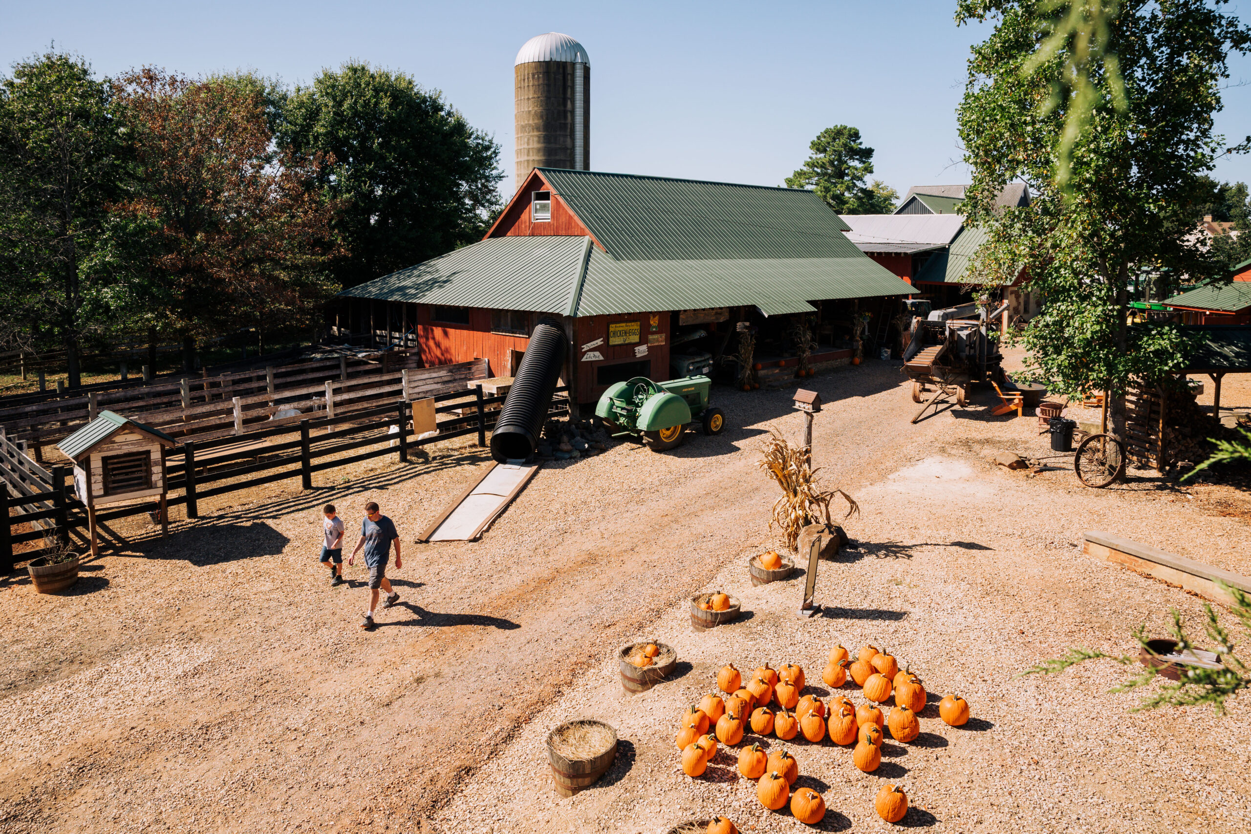 Falling for Culpeper: A Guide to Autumn Adventures in Virginia’s Heartland Image