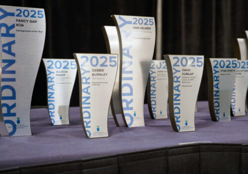 2025 Ordinary Awards Image
