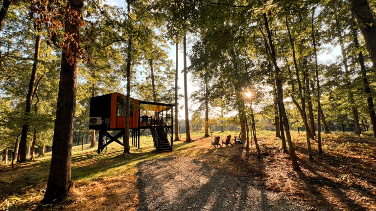 Cabin at Cibola Farm