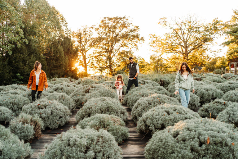 Seek Lavender Farm