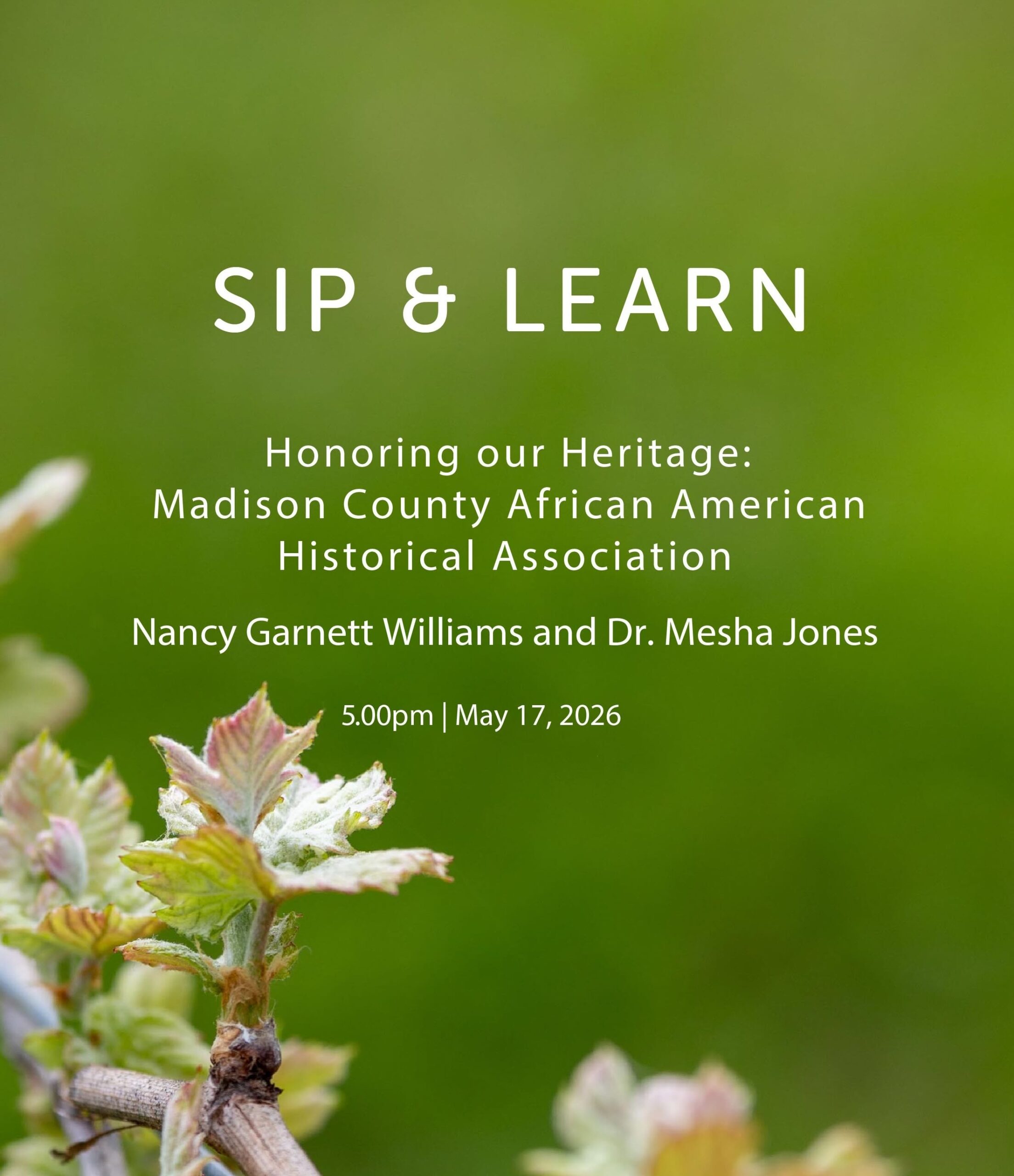 sip and learn
