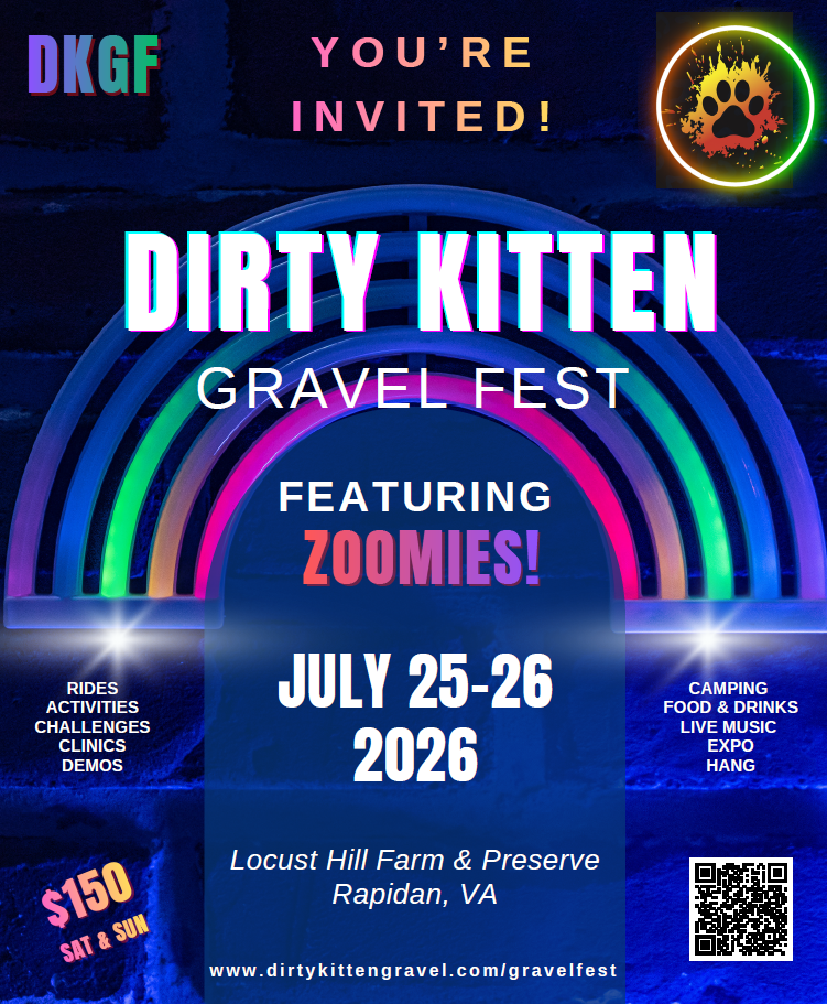 Dirty Kitten