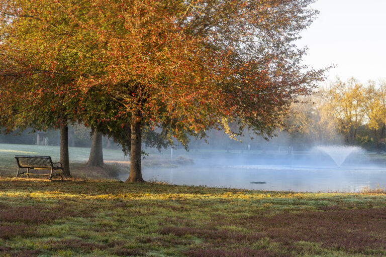 Yowell Meadow