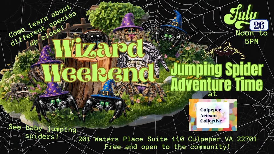 Wizard Weekend