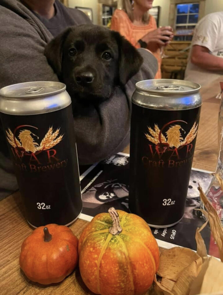 WAR Craft Brewery