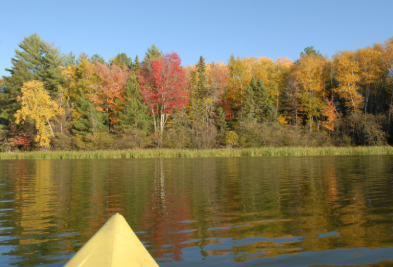 Fall Paddle